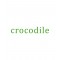 Crocodile